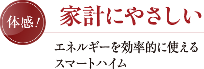 家計にやさしい エネルギーを効率的に使える スマートハイム