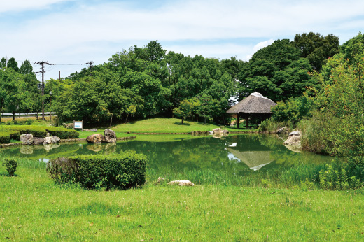 矢橋帰帆島公園の外観写真