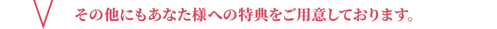 その他にもあなた様への特典をご用意しております。