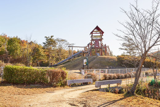 希望が丘文化公園フィールドアスレチック