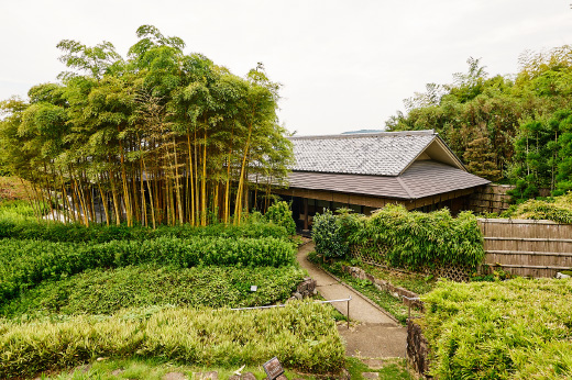 京都市洛西竹林公園