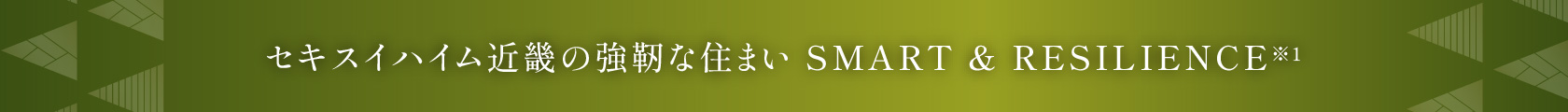 セキスイハイム近畿の強靭な住まい SMART & RESILIENCE※1