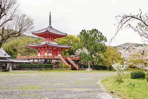 大覚寺